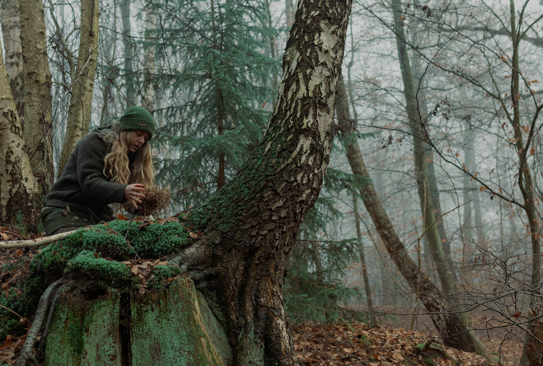 Wald von oben